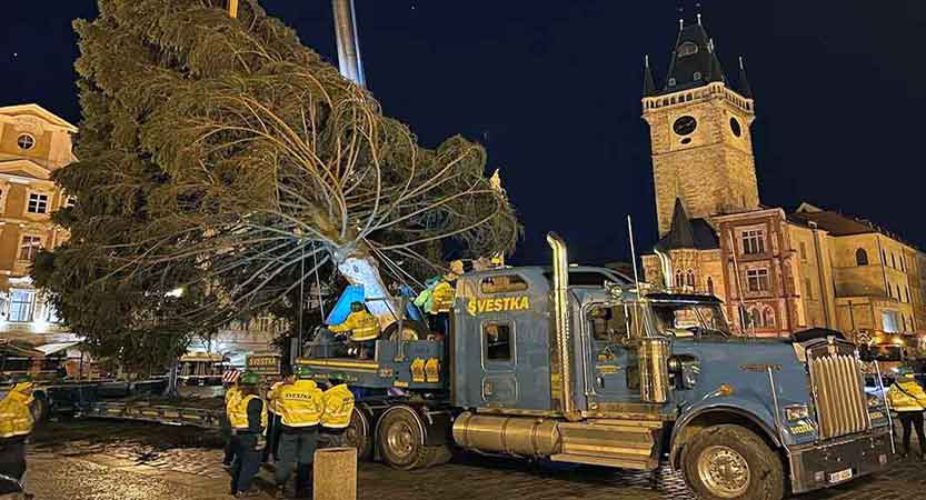 ¡Magia navideña! Un abeto brillará en la Plaza de la Ciudad Vieja