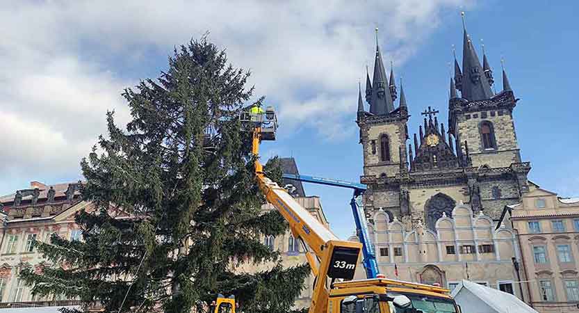 Encendido del árbol de Navidad de Praga 2023 y otras ciudades. Foto: TodaPraga