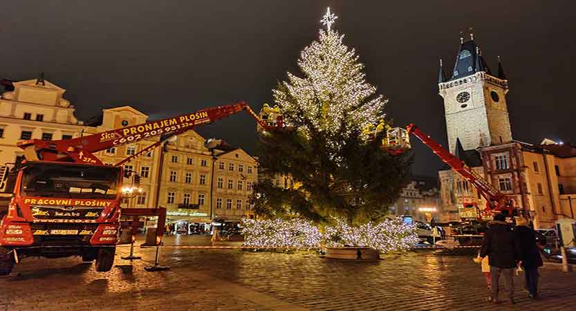 En este momento estás viendo El árbol de Navidad 2023 de Praga está en camino